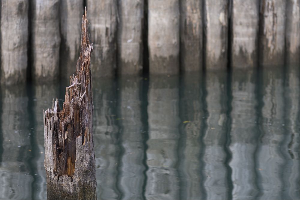 20231103174112 Ausgedient