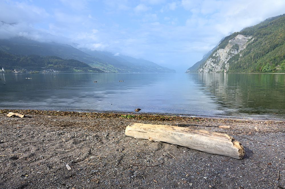 20231103174113 Wal En See