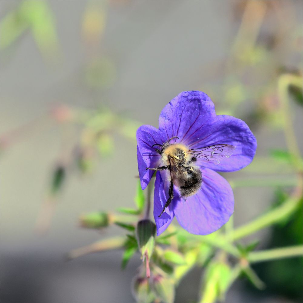 20231104105008 Emsig