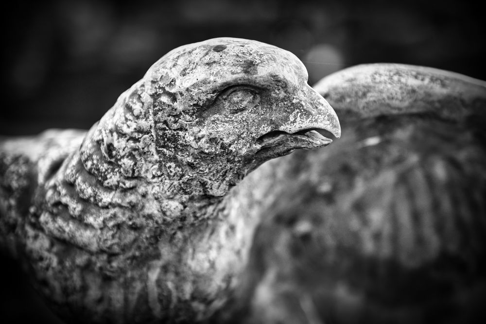 20230819054004 2x2a3152 2