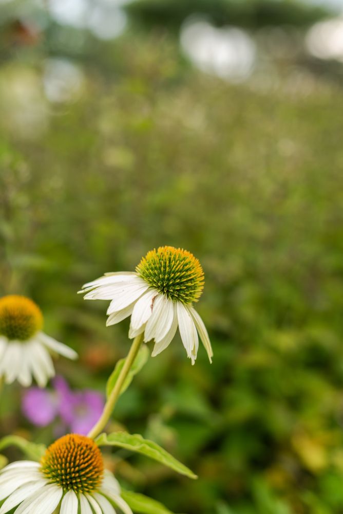 20230820142645 Dsc 1134