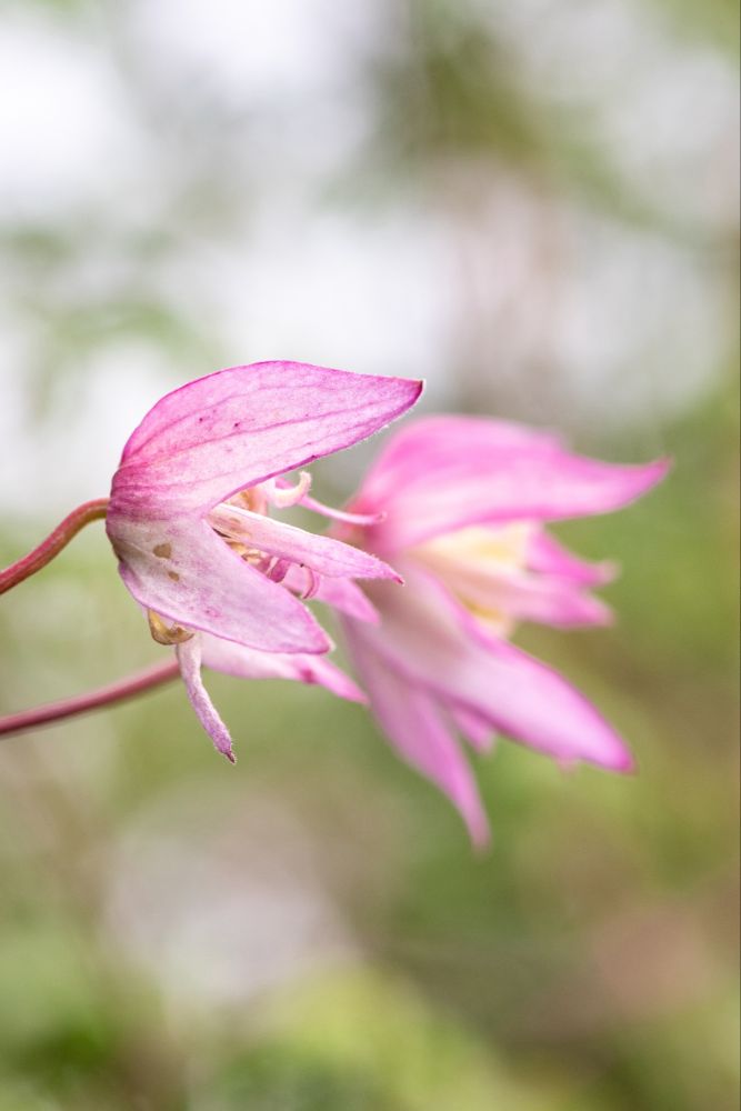 20230820142820 Dsc 1149