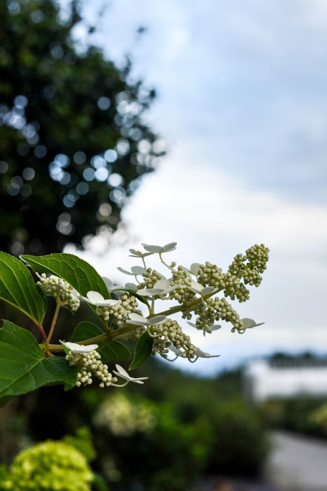 20230820142820 Dsc 1157