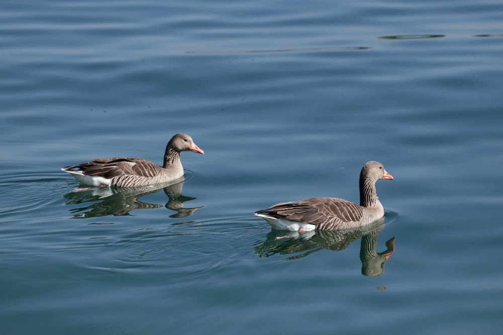 20250511082931 Y19 2611