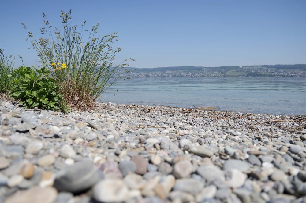 20250511082931 Y19 2697