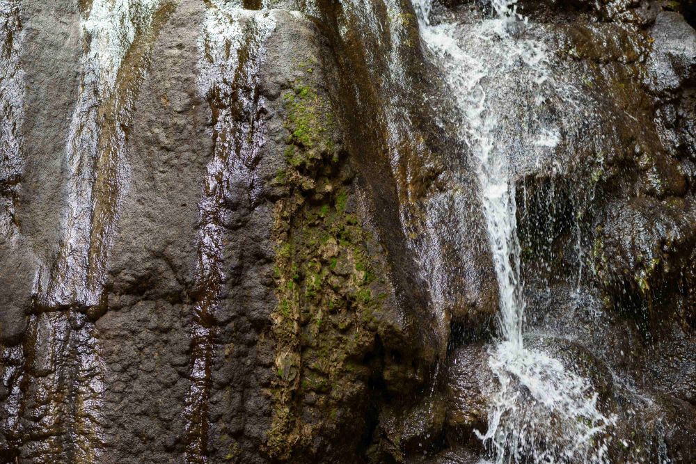 1 3 Oliverferri Fotocup2017 Hp Fcrj