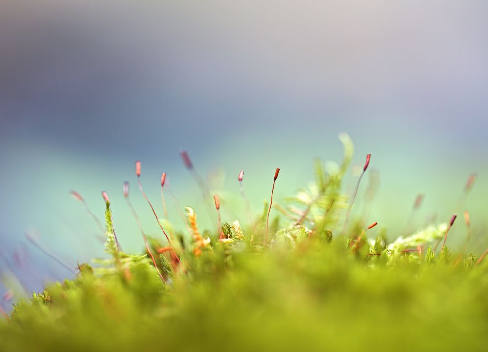 2 2 Gabrielaschaufelberger Fotocup2017 Hp Fcrj