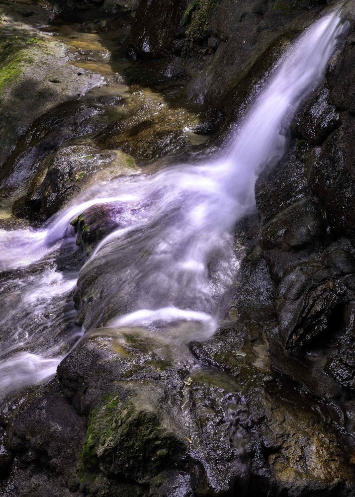 3 1 Ericvolmer Fotocup2017 Hp Fcrj