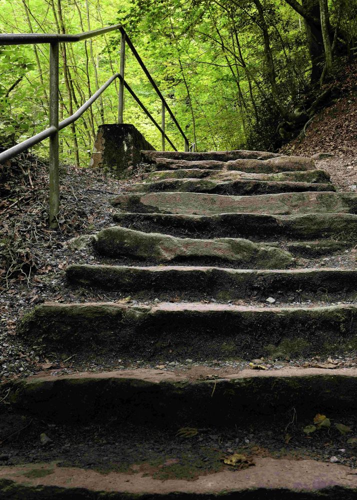 3 2 Ericvolmer Fotocup2017 Hp Fcrj