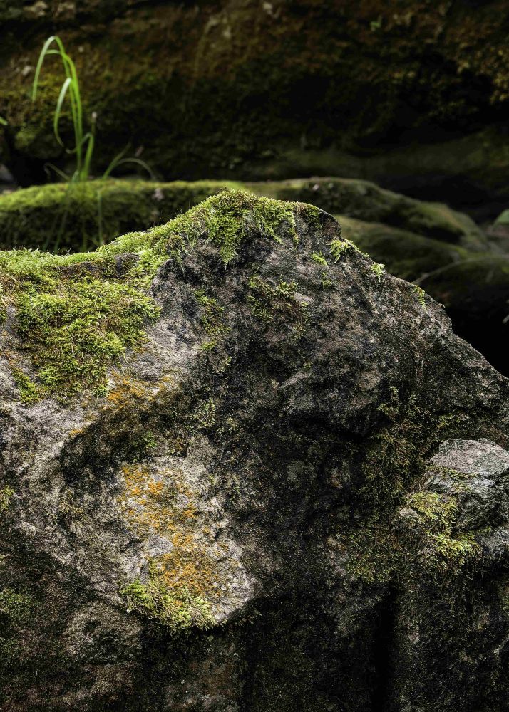 3 3 Ericvolmer Fotocup2017 Hp Fcrj