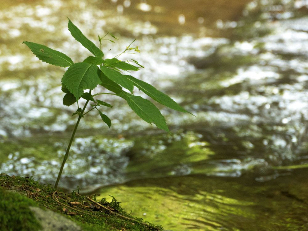 4 2 Monikapircher Fotocup2017 Hp Fcrj