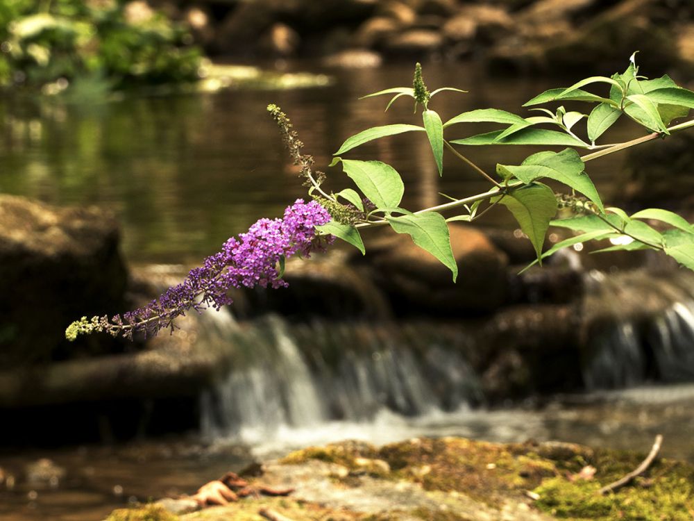 4 3 Monikapircher Fotocup2017 Hp Fcrj