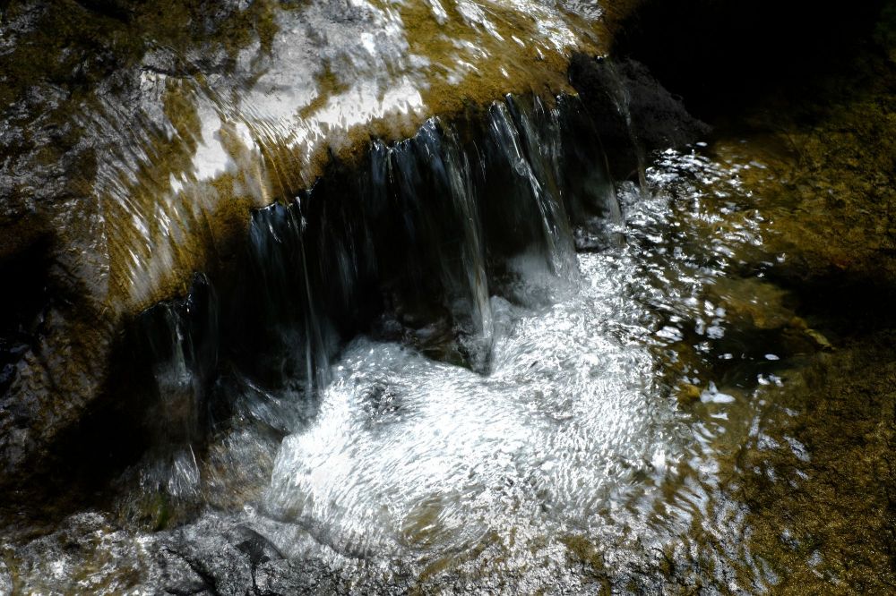 5 1 Andreashenschel Fotocup2017 Hp Fcrj