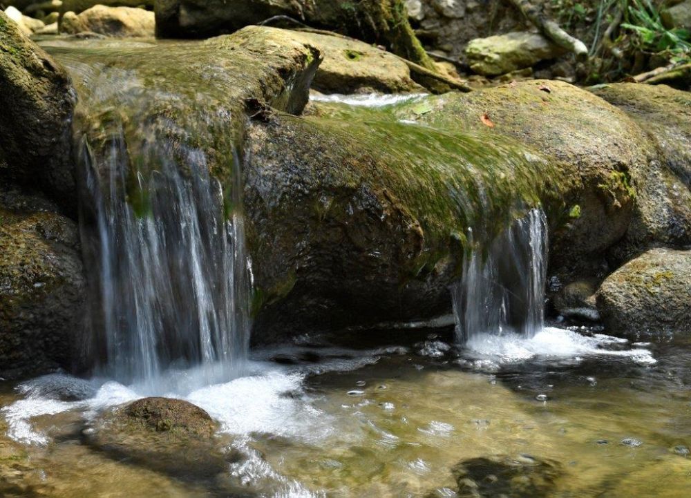 6 1 Urszimmermann Fotocup2017 Hp Fcrj