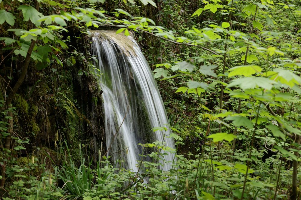 20230520173946 W19 6533