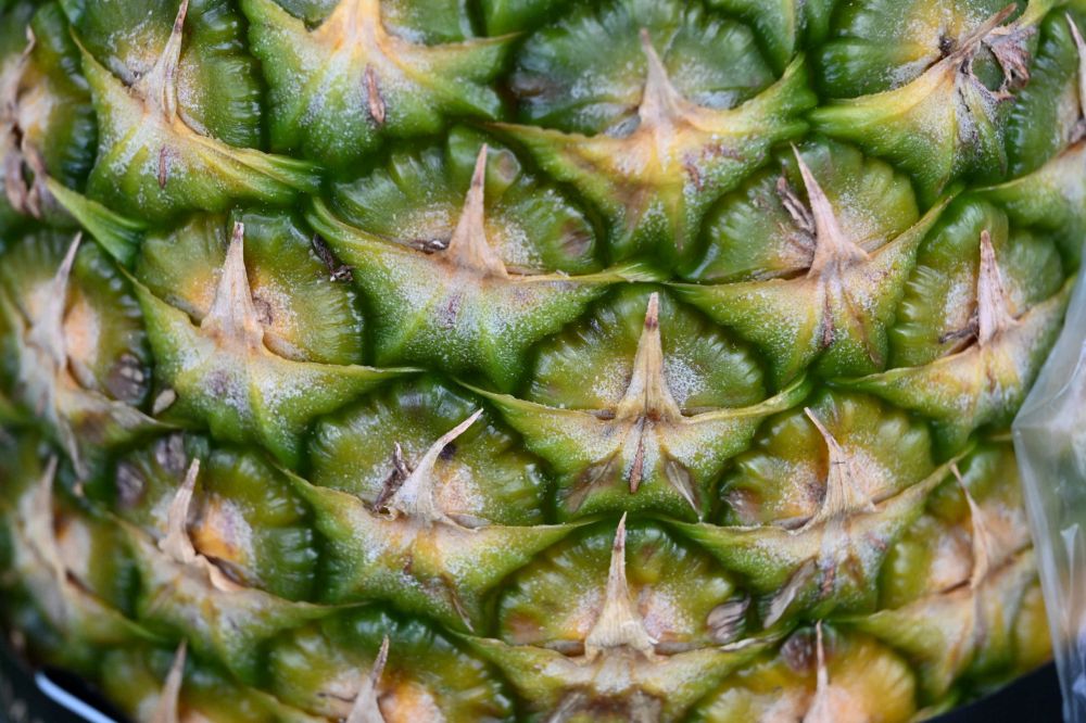 Jean Pierre DSC 9728