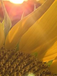 20240906125331 20230730 210029 T