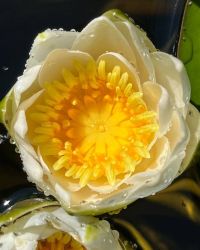 20240910105100 Ec8eb13b D8f7 4a9b 923c 10a342141b8f T