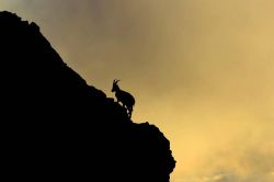 20240911152038 Fr6a5841 T