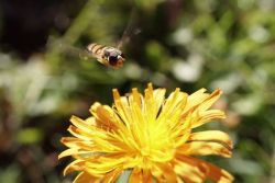 20240915090841 Dsc01403 T