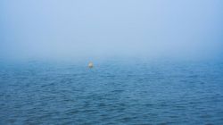 20240915185510 Nebeltag Seedamm Rapperswil T