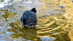 20240923195700 Img 8866 T