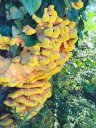 20241003142755 499ed444 1fb6 4f47 9887 A13e0e073e79 T