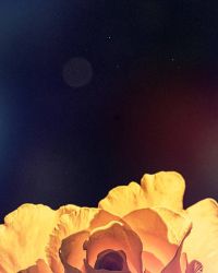 20241013190335 Dsc 3216 2 T