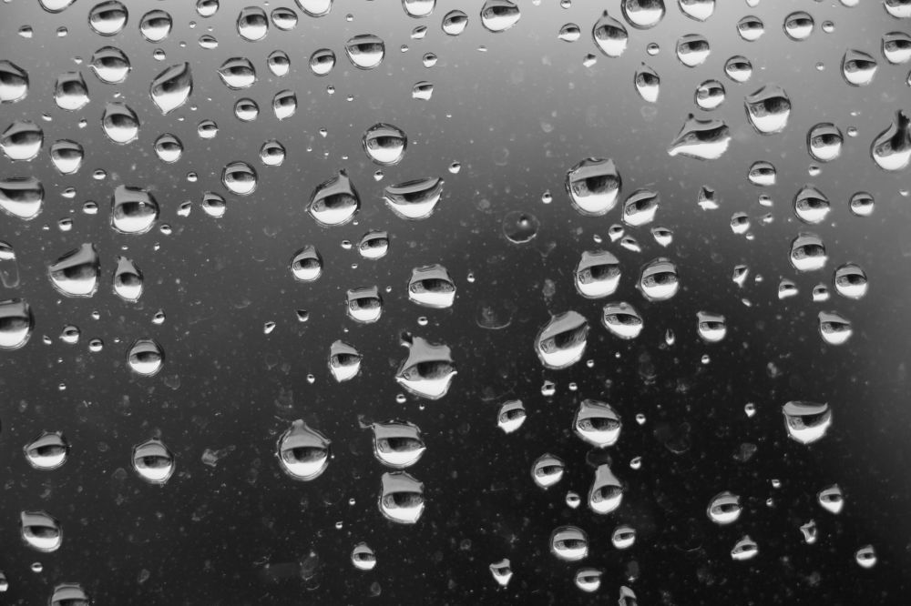 09 01 Regentropfen   Leben Lebende Regentropfen Antoinette Luechinger