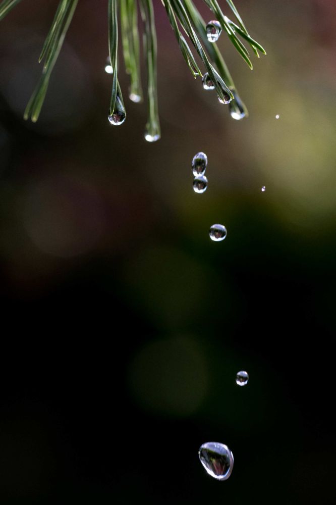 15 111 FCRJWettbewerb2023 Isotton Walter