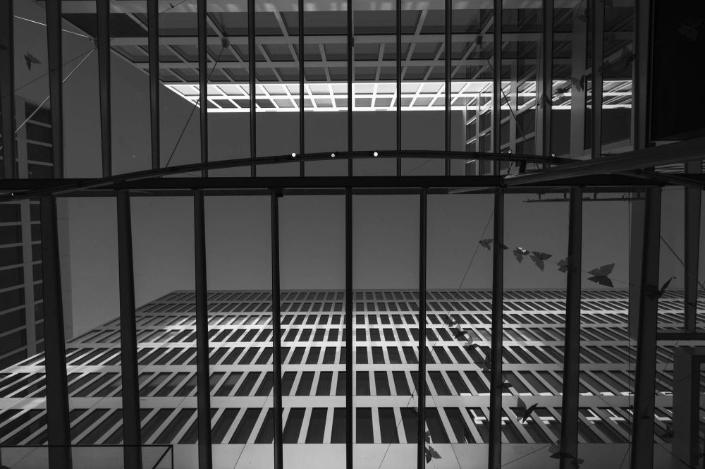 FCRJAustellung2024 Cifuni Giulio 2000