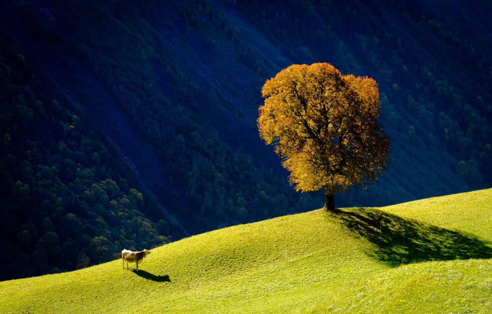 Beginning Of Autumn