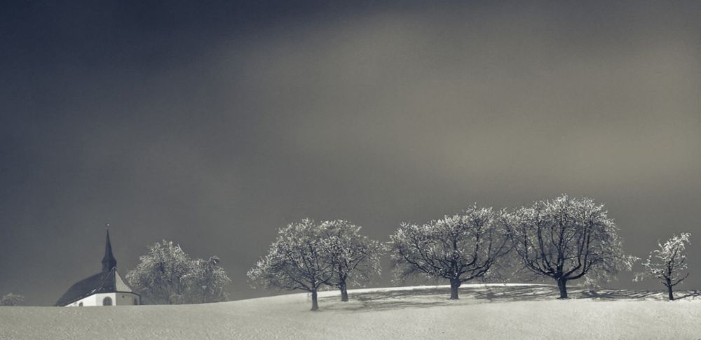 Fotoclub RJ Monatsbild 3 APR2011