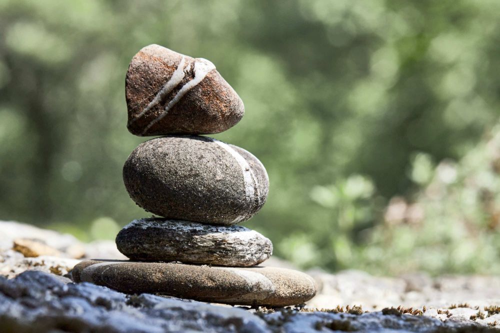 02 Rene RR 1 Steinig 4436