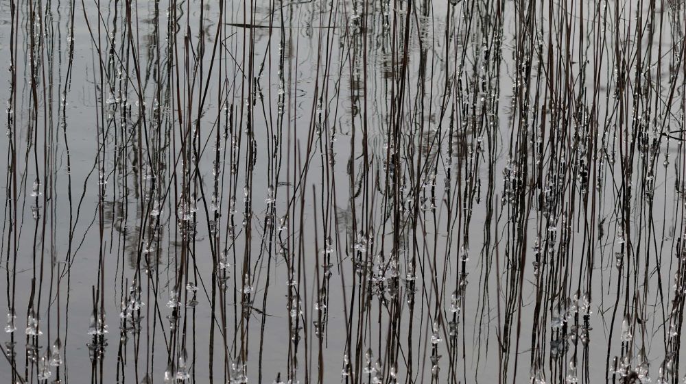 FOTOSTAFETTE II 1 D2A7368