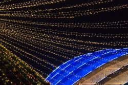 Ruanda2019 DSC 8940 HiRes