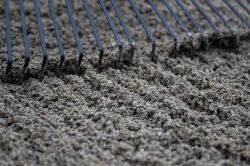 6  DSC8122 Si Li 74 Portrait Lachen HDTV