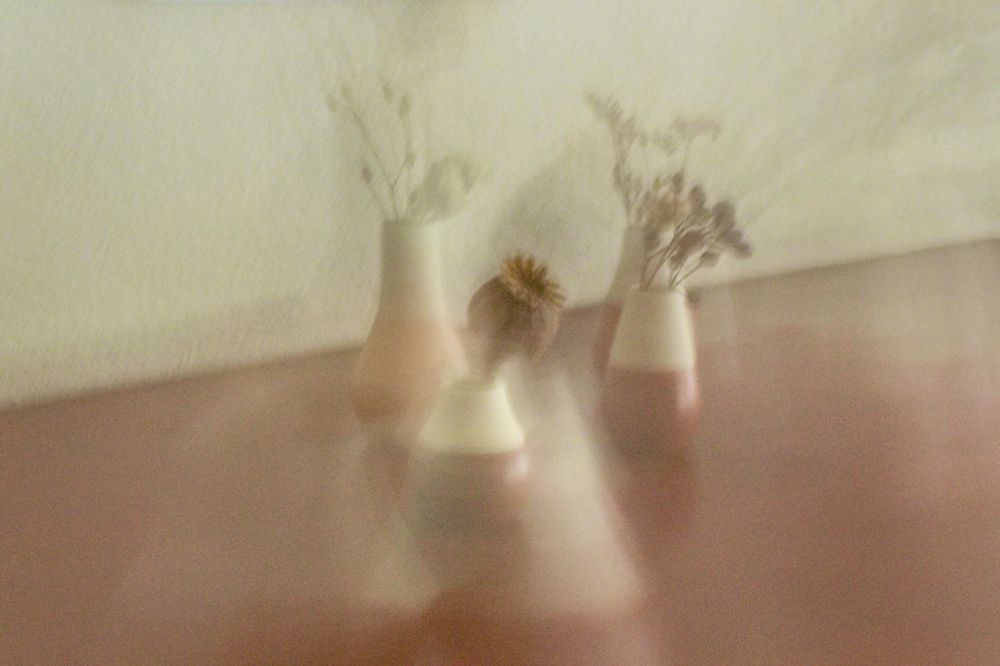 2 IMG 0003