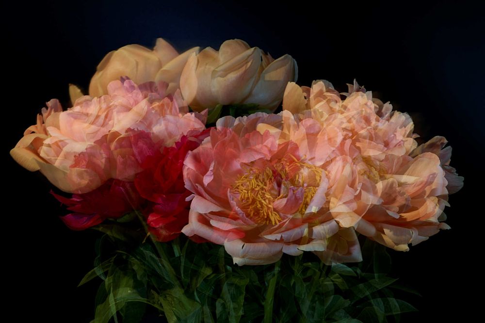 4 Rosen 20260526