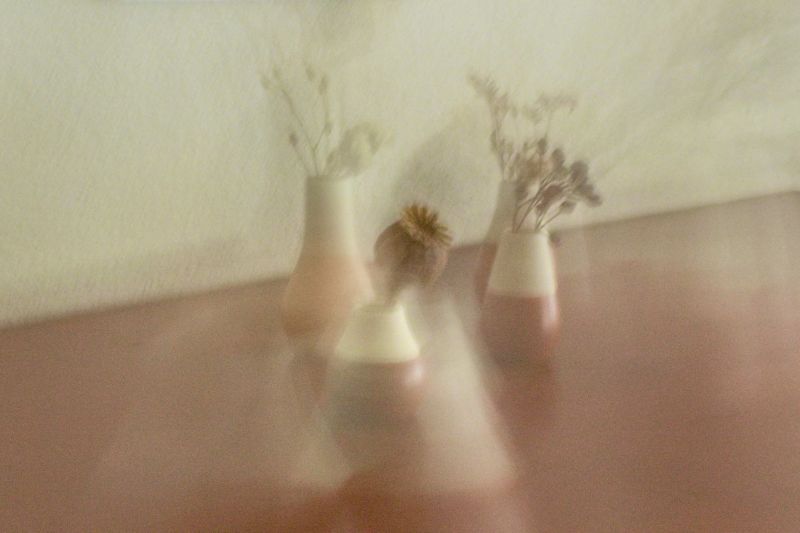 2 IMG 0003